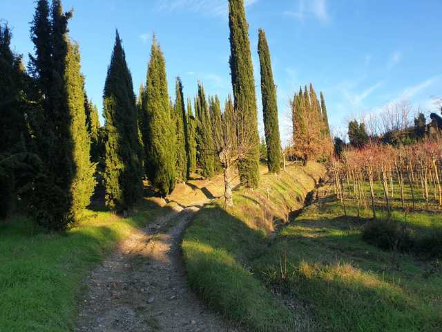 PANORAMICA_CAMPINO_3.